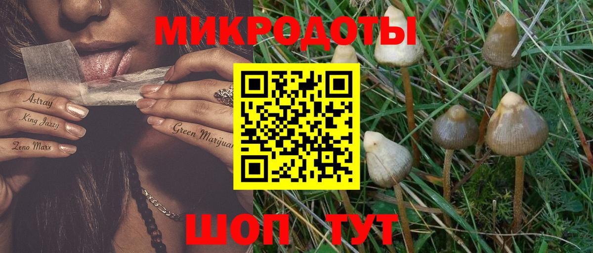 Галлюциногенные грибы MAGIC MUSHROOMS Воронеж